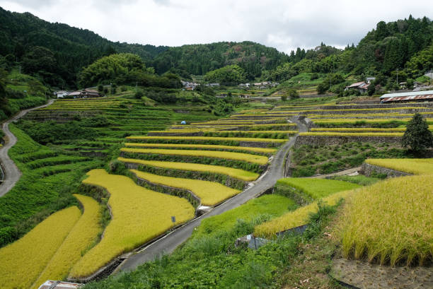 istock Hiroshima prefecture's 