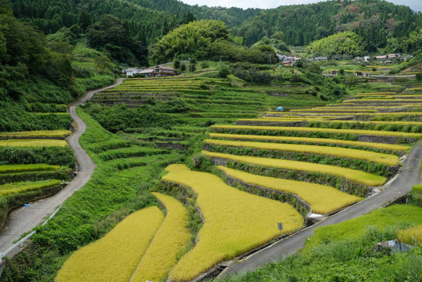 istock Hiroshima prefecture's 