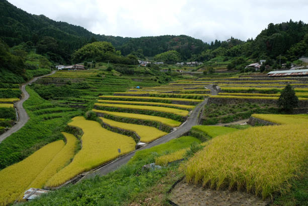 istock Hiroshima prefecture's 