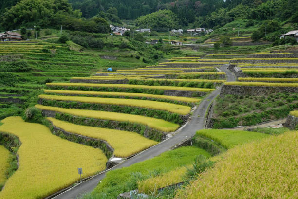 istock Hiroshima prefecture's 