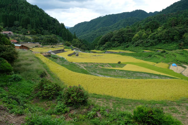 istock Hiroshima prefecture's 
