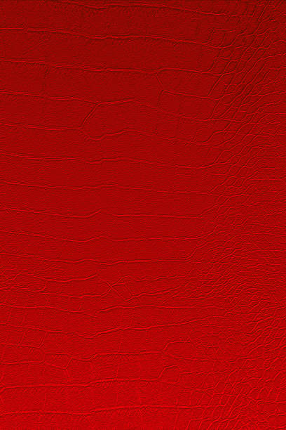 istock Red color texture pattern abstract background can be use as wall paper screen saver brochure cover page or for presentations background or articles background also have copy space for text. 842726734