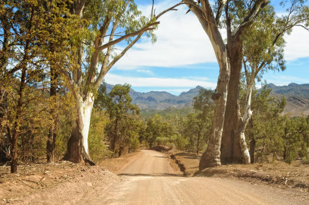 istock Bunyeroo Gorge Road - Wilpena Pound 842730526