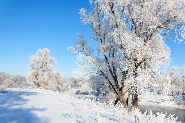 istock winter, winter-tide, winter-time 842735810
