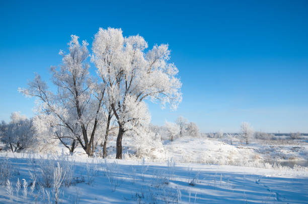 istock winter, winter-tide, winter-time 842735816