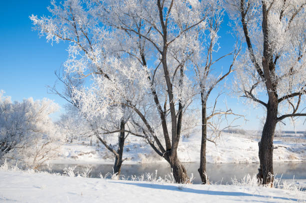 istock winter, winter-tide, winter-time 842735842