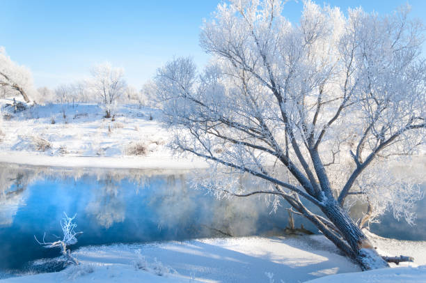 istock winter, winter-tide, winter-time 842735860