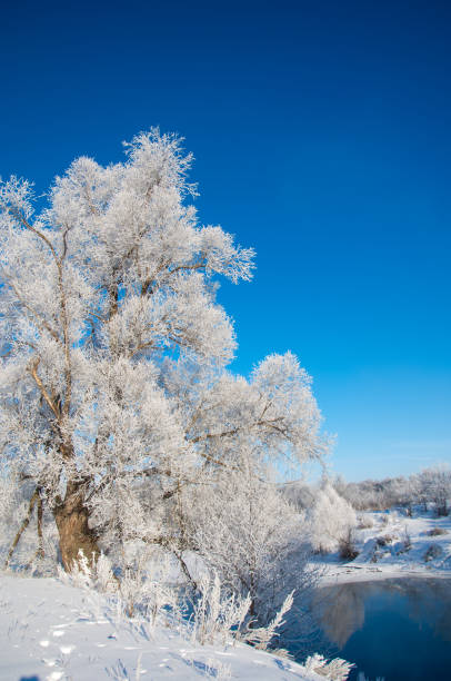istock winter, winter-tide, winter-time 842735874