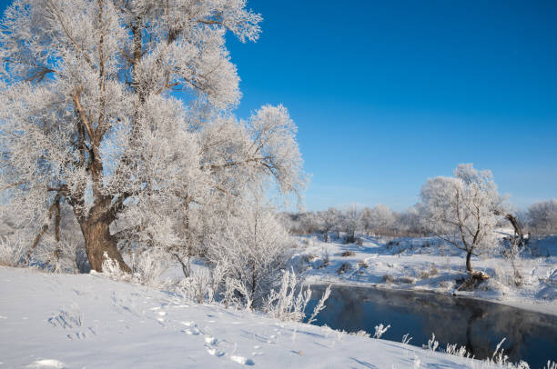 istock winter, winter-tide, winter-time 842735906