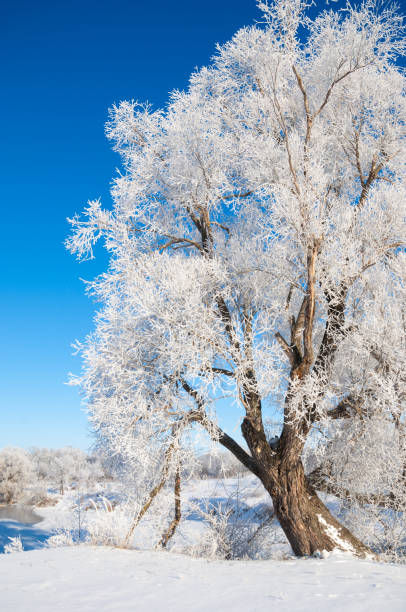 istock winter, winter-tide, winter-time 842735936
