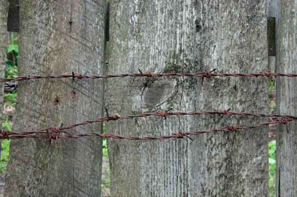 istock Rusty barbed wire on an old wooden fence close-up. Texture 842736800