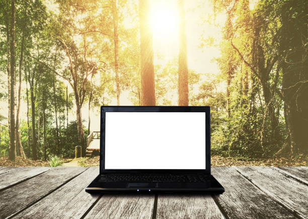 istock Computer laptop on wooden table, forest in sunrise background. Clipping path empty white screen 842739266