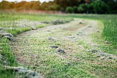 im-garten-wurde-weg-geschnitten.jpg?b=1&s=170x170&k=20&c=a1GTEalyHTLNFwK1BofdrfGR_loS-po3fY7EhVsLkUk=