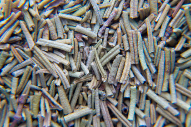 istock Seasoning. Spiceiness. Dried rosemary. Texture 842753202