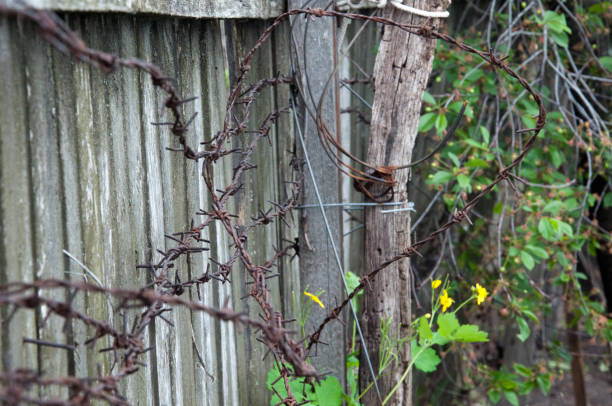istock Rusty barbed wire on an old wooden fence 842756230
