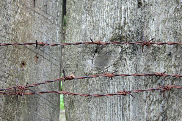 istock Rusty barbed wire on an old wooden fence close-up. Texture 842758760