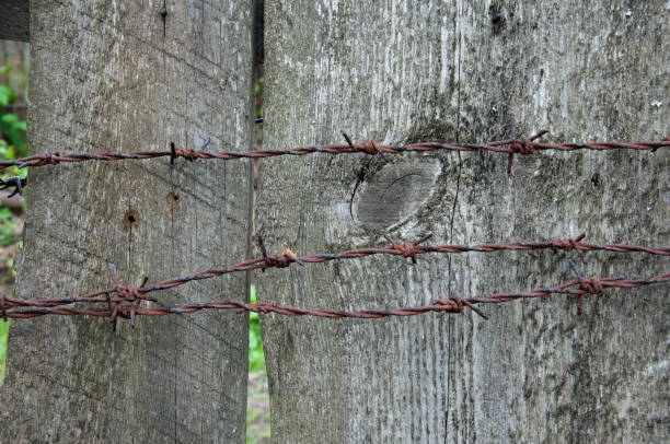 istock Rusty barbed wire on an old wooden fence close-up. Texture 842758862