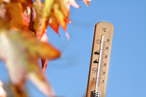 Image of a thermometer with pretty colors of fall in the background