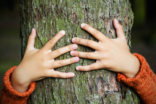 istock man hugging a big tree - love nature concept 842768752
