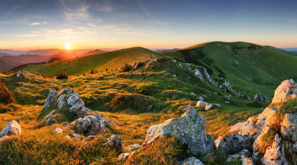 istock Pasture in green mountain with sun 842776494