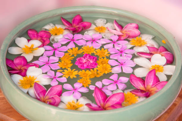 istock Plumeria flowers are refreshing 842777276