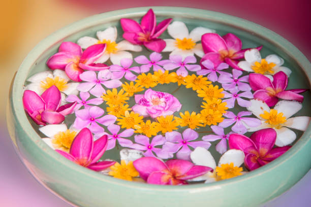 istock Plumeria flowers are refreshing 842777410