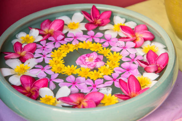 istock Plumeria flowers are refreshing 842777622