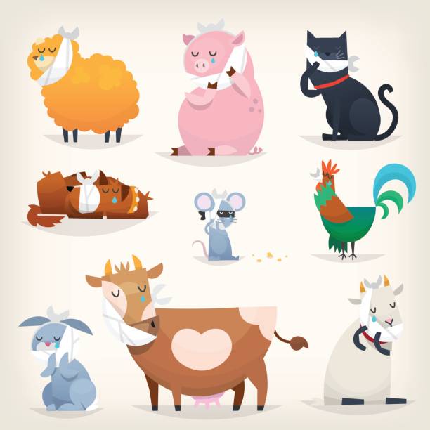 Farm animals with sick teeth Set of popular colorful vector farm animals and birds with ill teeth. Posters for the dentists clinic rooster open wings stock illustrations