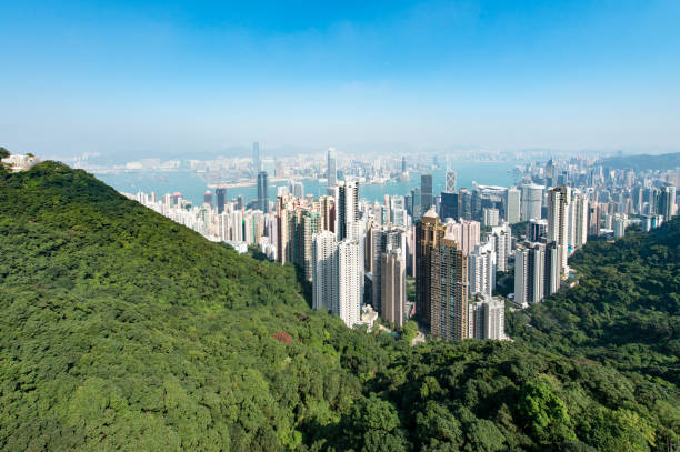 istock Hong Kong Cityscape 842797408