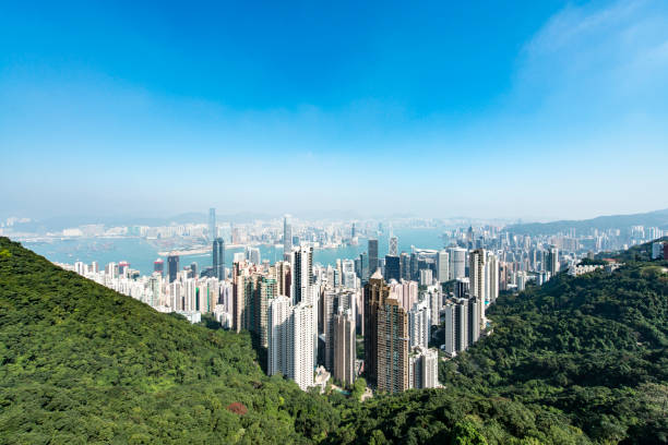 istock Hong Kong Cityscape 842802258