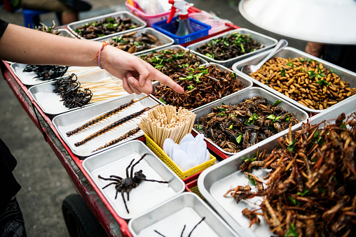 Closeup of hand ordering cooked insects in Thailand street food stall