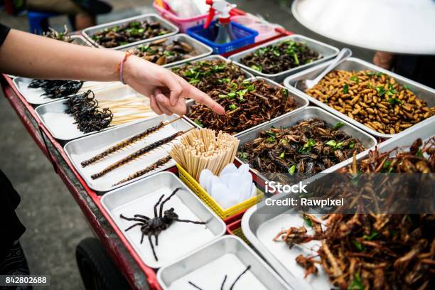 Closeup Of Hand Ordering Cooked Insects In Thailand Street Food Stall Stock Photo - Download Image Now