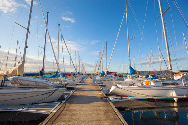 istock view of a marina in Trondheim 842802696