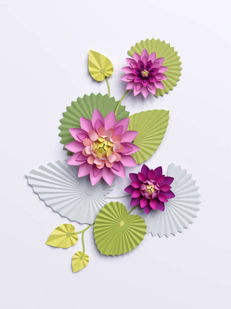 3d render, paper lotus flowers, wall decoration, pink water lily green leaves isolated on white background 3d render, paper lotus flowers, wall decoration, pink water lily green leaves isolated on white background paper quilling stock pictures, royalty-free photos & images