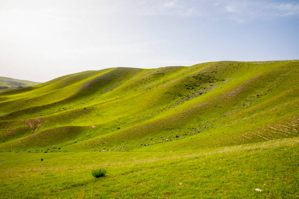 istock Kalajun Grassland, Xinjiang, China 842809712