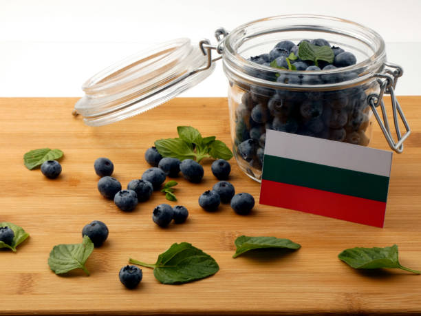 istock Bulgarian flag on a wooden plank with blueberries isolated on white 842817826