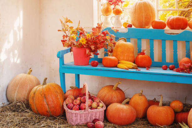 istock pumpkins on blue wooden bench indoor 842822730