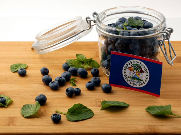 istock Belize flag on a wooden plank with blueberries isolated on white 842823190