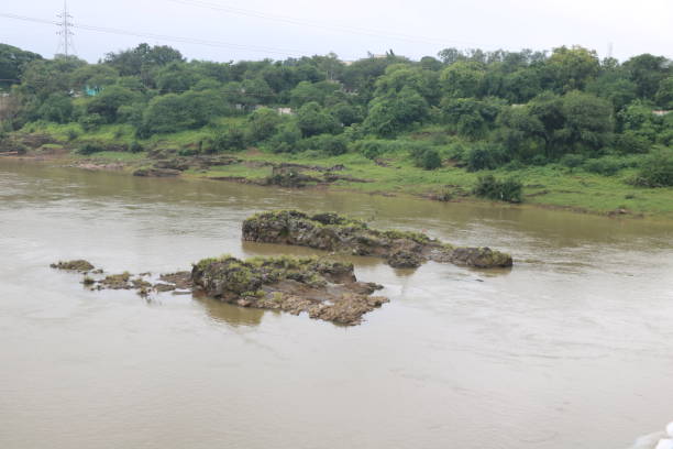 istock View of Rock in river 842826094
