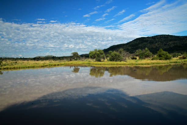 istock Pilanesberg National Park 842832822