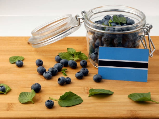 istock Botswana flag on a wooden plank with blueberries isolated on white 842833144