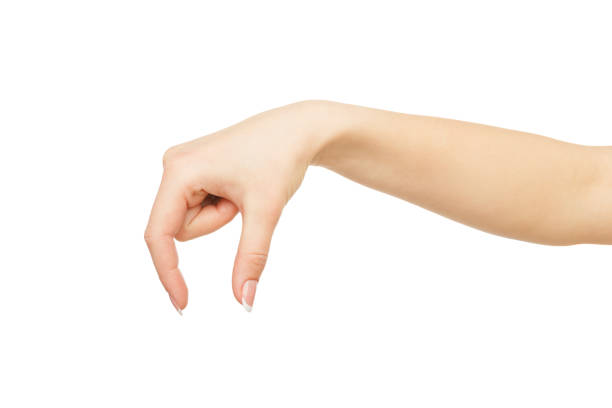 istock Female hand picking up something, crop, cutout 842833292