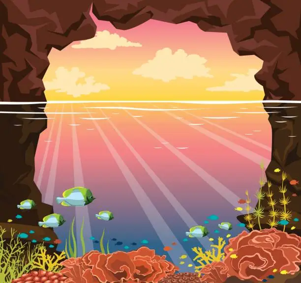 Vector illustration of Coral reef, fish, underwater cave, sea, sunset sky.