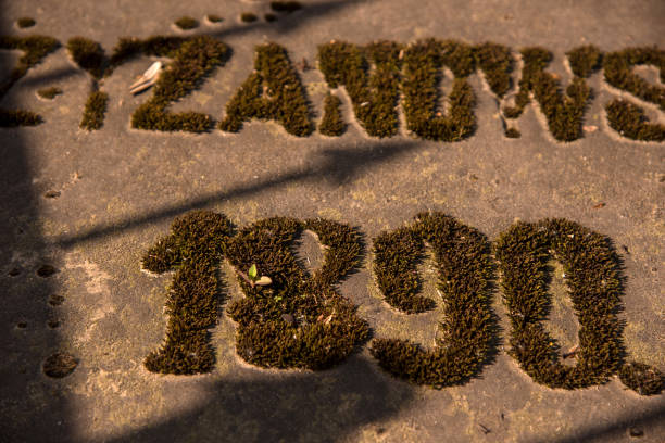 istock The inscription on the grave is covered with moss on the old cemetery. 842836882