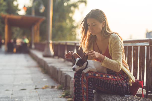 istock Enjoying free time with my dog 842837424