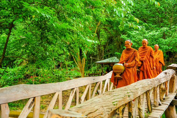 Kanchanaburi: Buddhist monks marching on wooden bridge to seek alms in morning. This is usual every day duty of Buddhist monks.