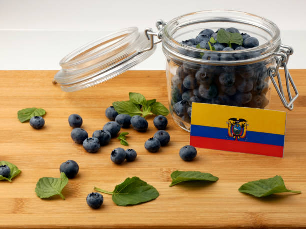 istock Ecuador flag on a wooden plank with blueberries isolated on white 842840408