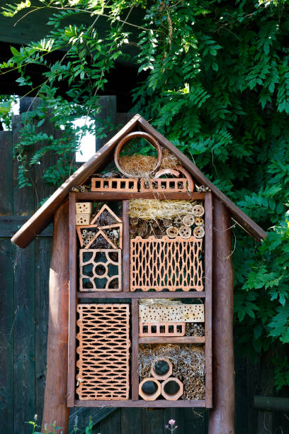 istock wooden garden decoration 842840534