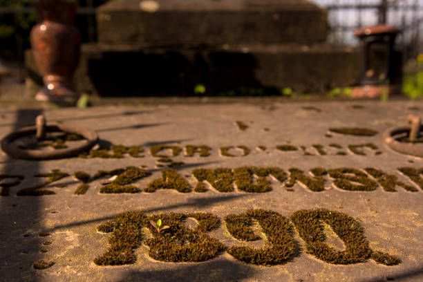 istock The inscription on the grave is covered with moss on the old cemetery. 842840854