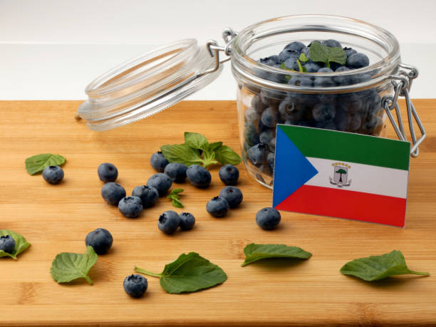 istock Equatorial Guinea flag on a wooden plank with blueberries isolated on white 842841252